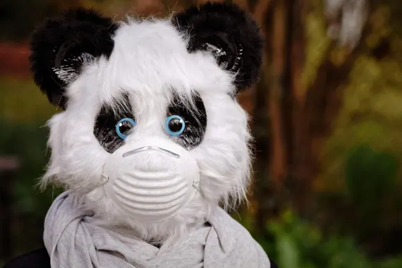 SpinShake Casino Suporte